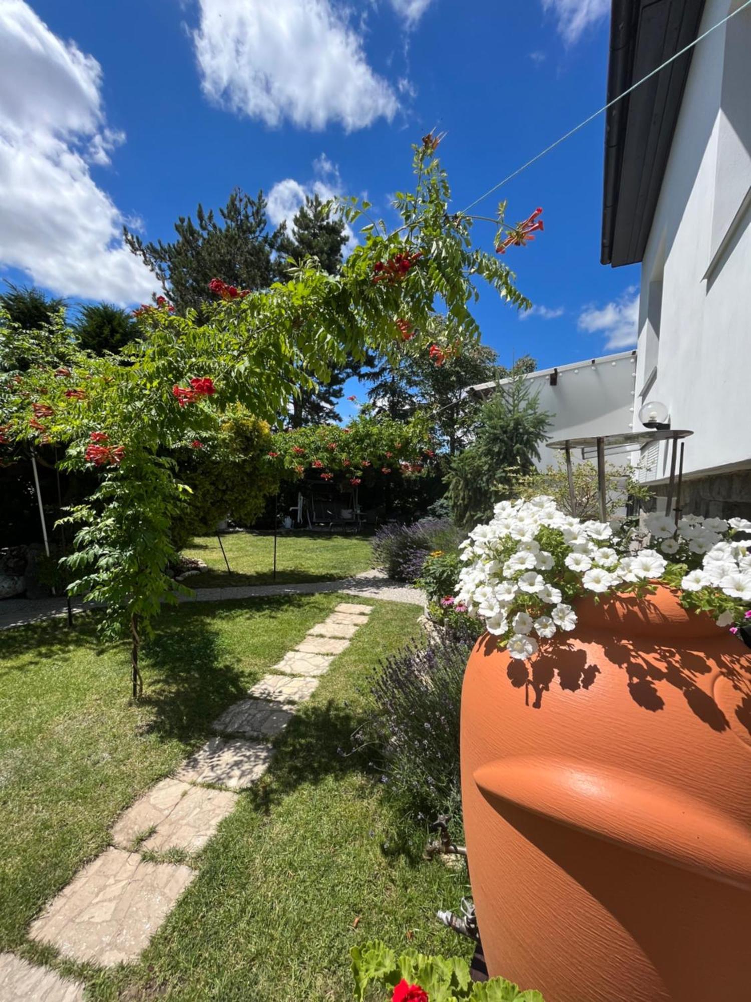Relaxacni Studio Vera S Ubytovanim วาลติตซา ภายนอก รูปภาพ