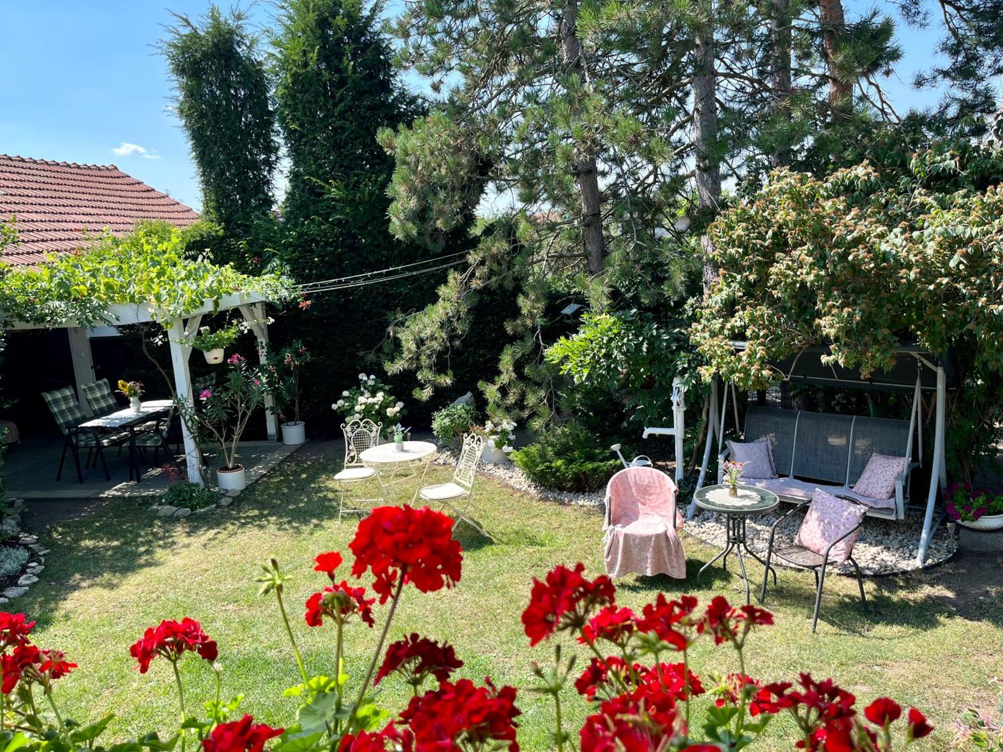 Relaxacni Studio Vera S Ubytovanim วาลติตซา ภายนอก รูปภาพ